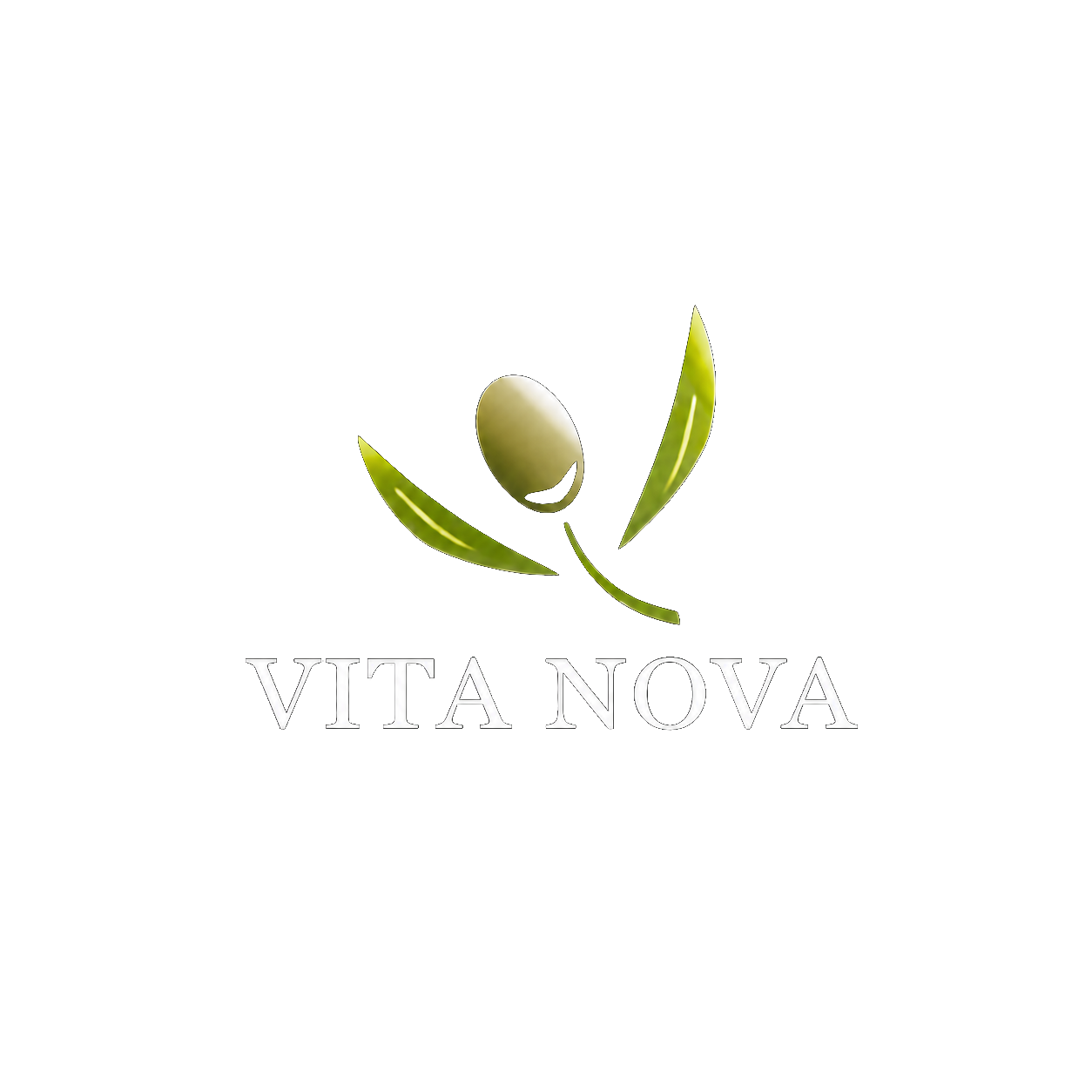 Vita Nova